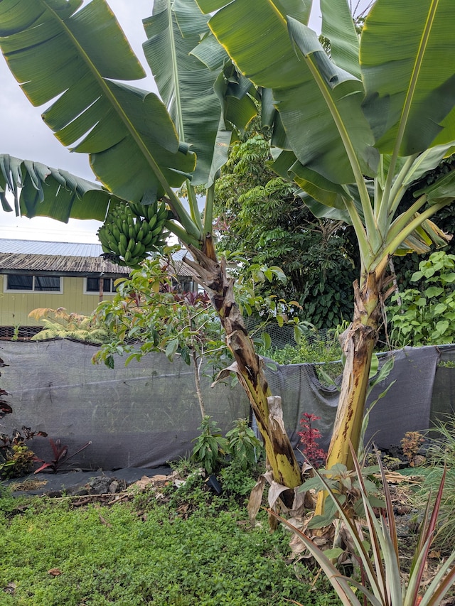 15-2757 Mahimahi St, Pahoa, HI 96778 - photo 25