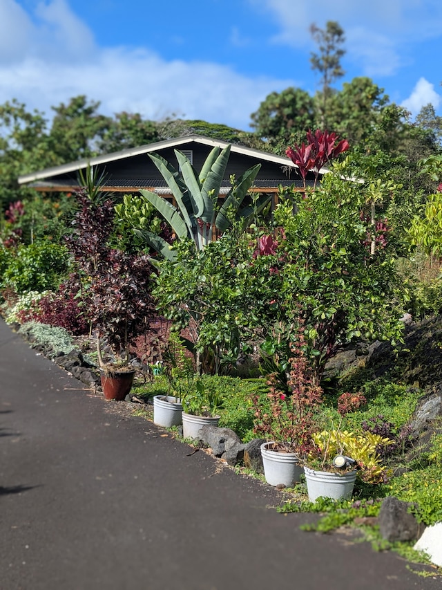 15-2757 Mahimahi St, Pahoa, HI 96778 - photo 30