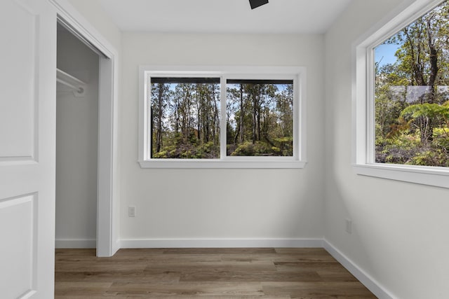 11-3105 Mokuna St, Volcano, HI 96785 - photo 13
