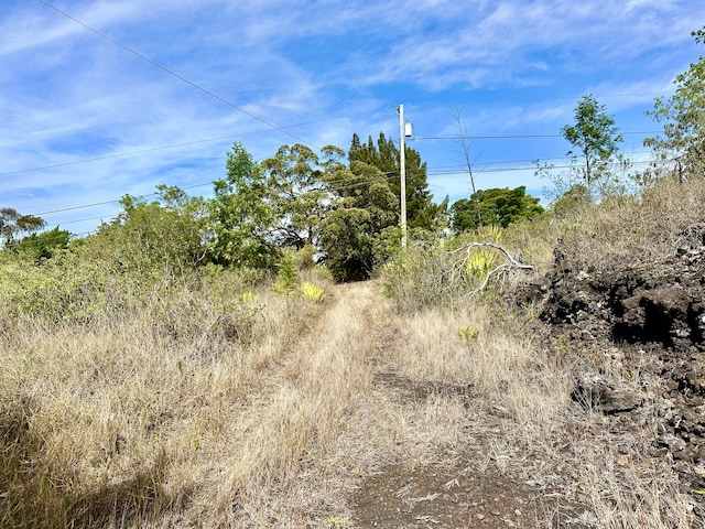 92-8320 Bamboo Ln, Ocean View, HI 96737 - photo 9