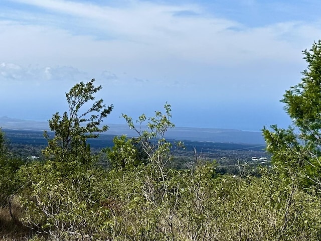 92-8320 Bamboo Ln, Ocean View, HI 96737 - photo 13