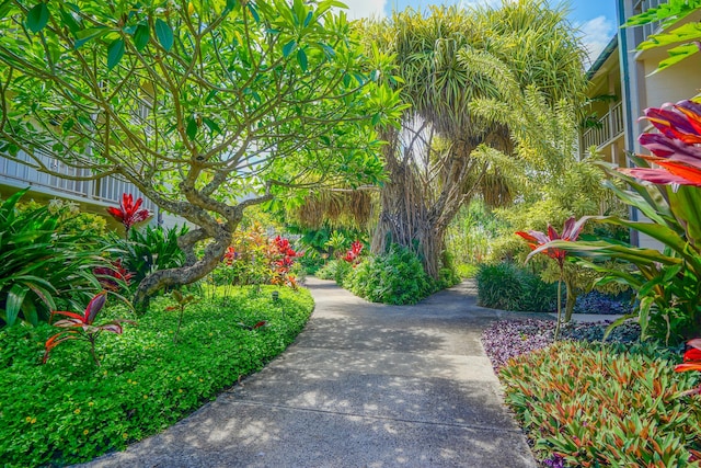 440 Aleka Pl Unit 118, Kapaa, HI 96746 - photo 15