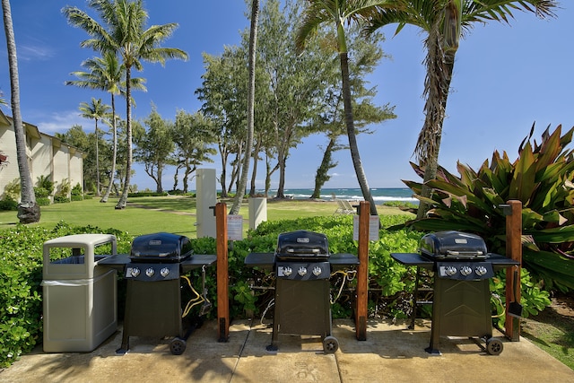 440 Aleka Pl Unit 118, Kapaa, HI 96746 - photo 19
