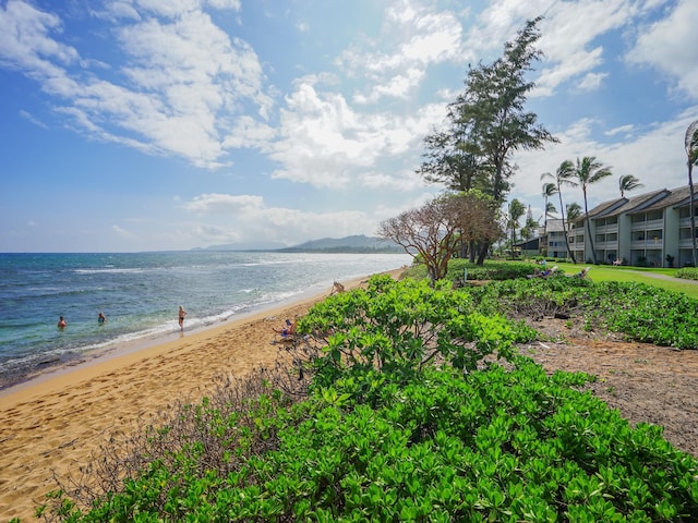 440 Aleka Pl Unit 118, Kapaa, HI 96746 - photo 20