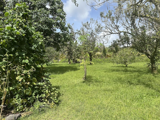 13-3316 Kupono St, Pahoa, HI 96778 - photo 23