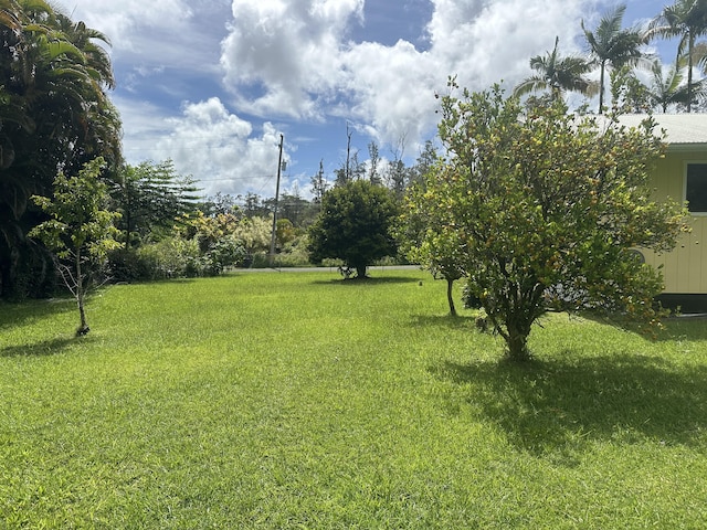 13-3316 Kupono St, Pahoa, HI 96778 - photo 27