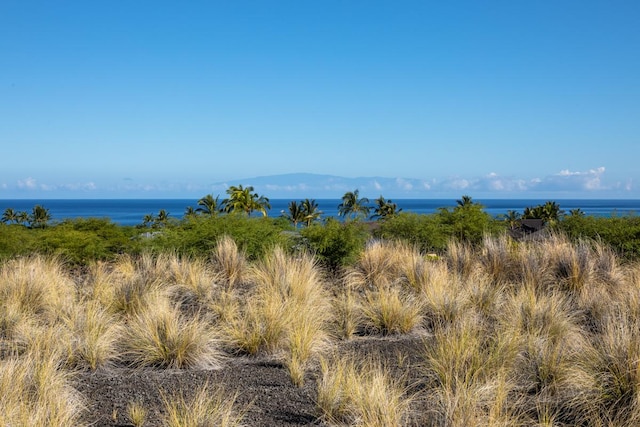 72-3207 Punaloa Pl, Kailua-Kona, HI 96740 - photo 3