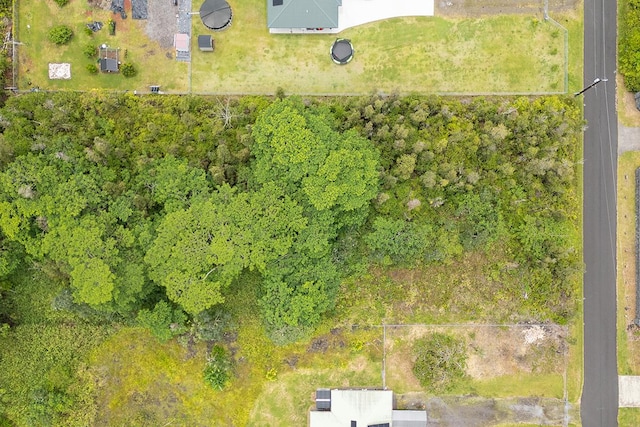 30th Ave, Keaau, HI 96749 - photo 8