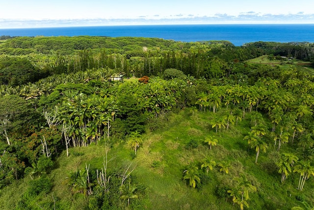 Hakalau, HI 96710 - photo 4