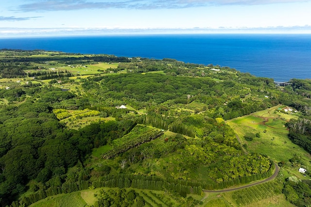 Hakalau, HI 96710 - photo 6