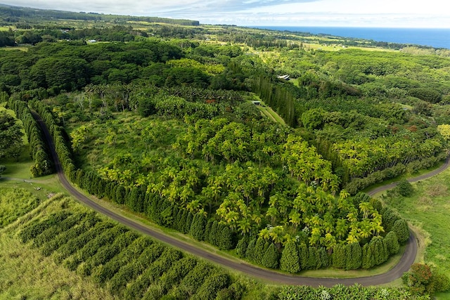 Hakalau, HI 96710 - photo 8