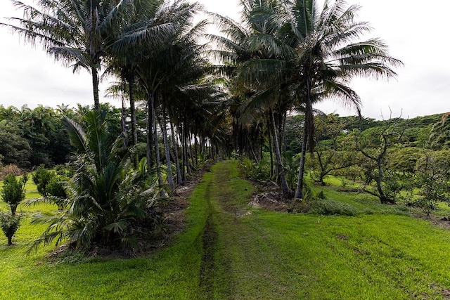 Hakalau, HI 96710 - photo 12