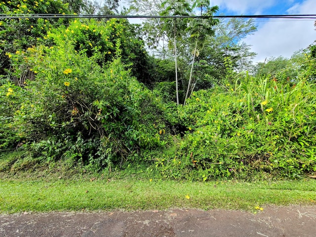 Diamond Head Dr, Pahoa, HI 96778 - photo 4