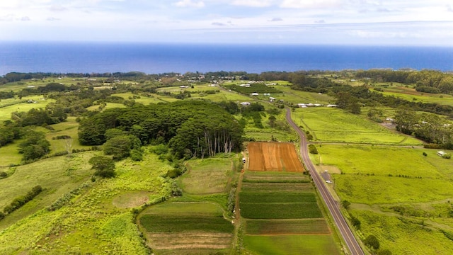 Akaka Falls Rd, Honomu, HI 96728 - photo 10