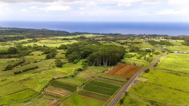 Akaka Falls Rd, Honomu, HI 96728 - photo 11