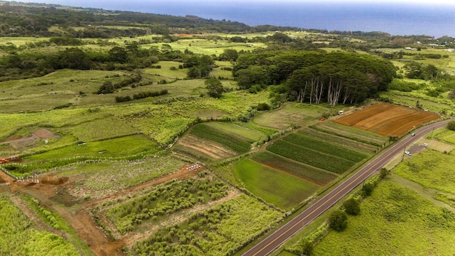 Akaka Falls Rd, Honomu, HI 96728 - photo 12