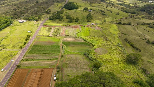 Akaka Falls Rd, Honomu, HI 96728 - photo 16