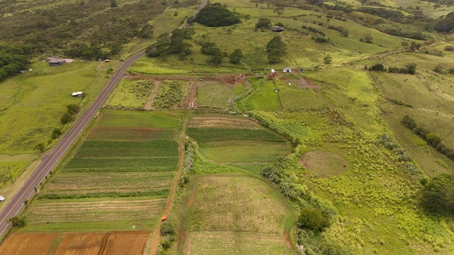 Akaka Falls Rd, Honomu, HI 96728 - photo 18