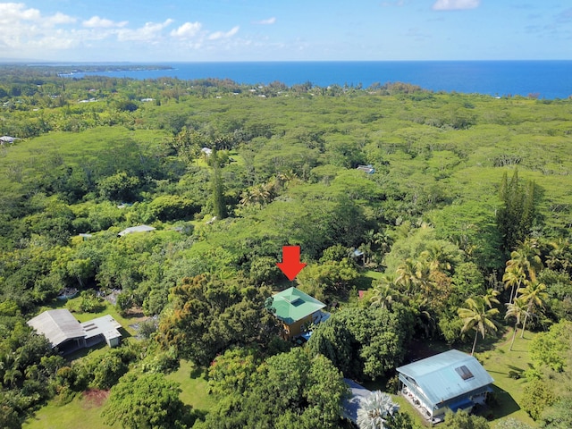 15-2068 3rd Ave, Keaau, HI 96749 - photo 29