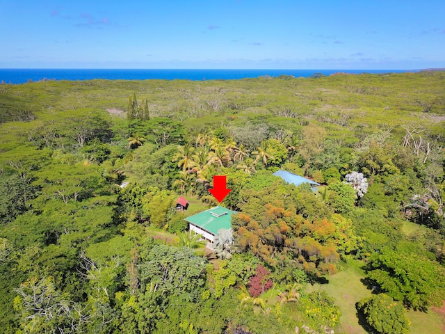 15-2068 3rd Ave, Keaau, HI 96749 - photo 28