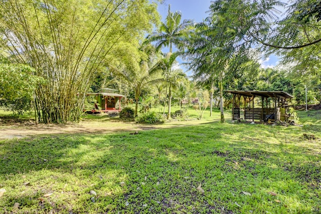 15-2068 3rd Ave, Keaau, HI 96749 - photo 25
