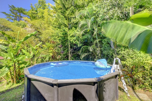 15-2068 3rd Ave, Keaau, HI 96749 - photo 20