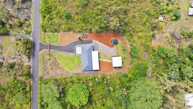 15-1909 4th Ave, Keaau, HI 96749 - photo 28