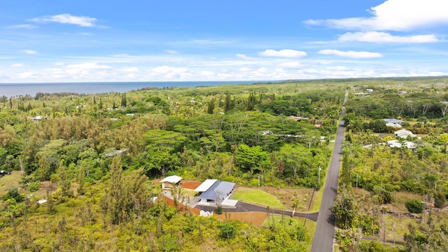 15-1909 4th Ave, Keaau, HI 96749 - photo 29