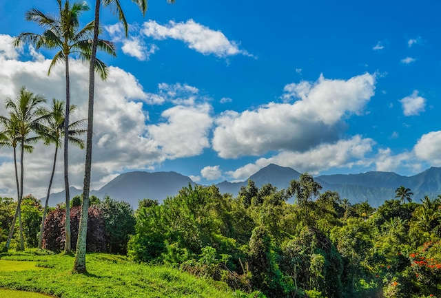 3830 Edward Rd Unit 8E, Princeville, HI 96722 - photo 20