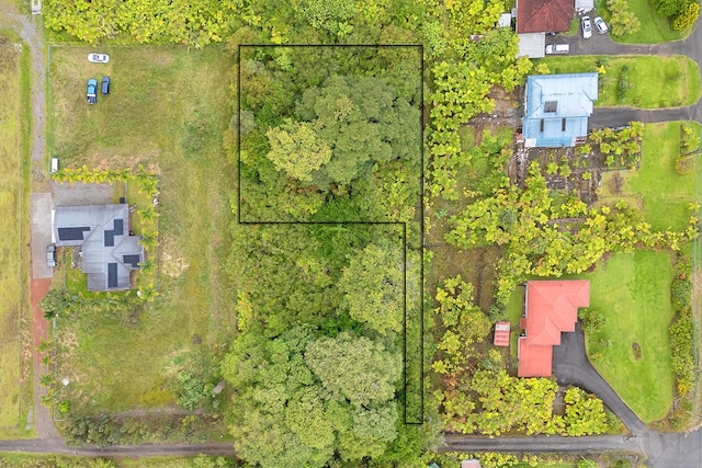 N Lauko Rd, Mountain View, HI 96771 - photo 2
