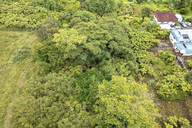 N Lauko Rd, Mountain View, HI 96771 - photo 3