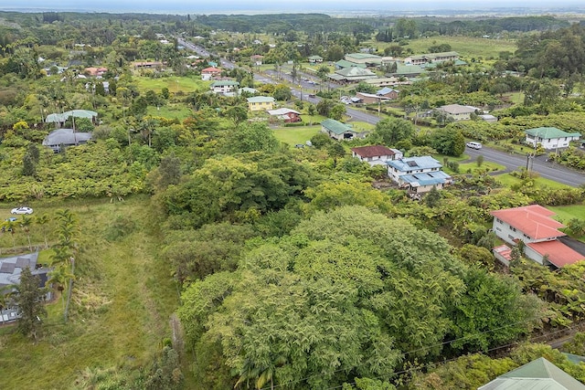 N Lauko Rd, Mountain View, HI 96771 - photo 6