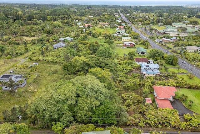 N Lauko Rd, Mountain View, HI 96771 - photo 7
