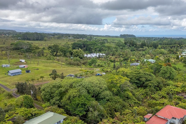 N Lauko Rd, Mountain View, HI 96771 - photo 8