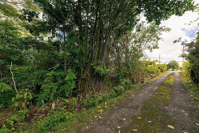 N Lauko Rd, Mountain View, HI 96771 - photo 9