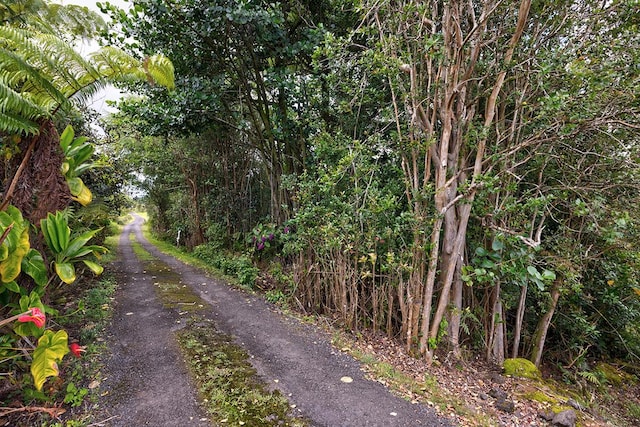 N Lauko Rd, Mountain View, HI 96771 - photo 11