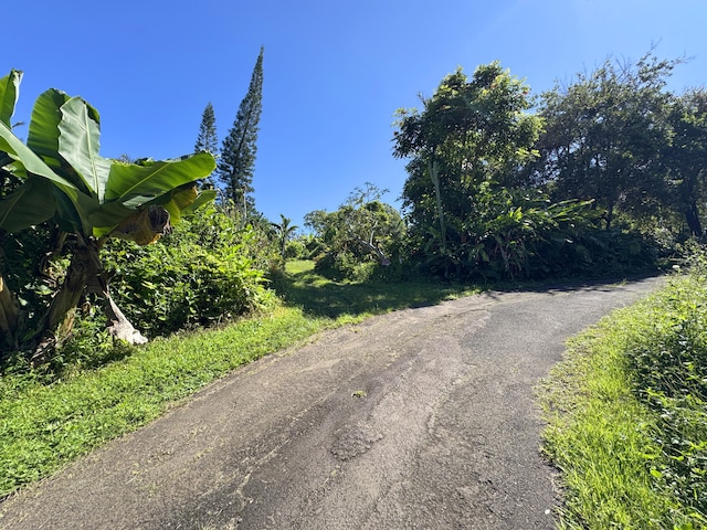 81-1081-C Captain Cook Rd, Captain Cook, HI 96704 - photo 4