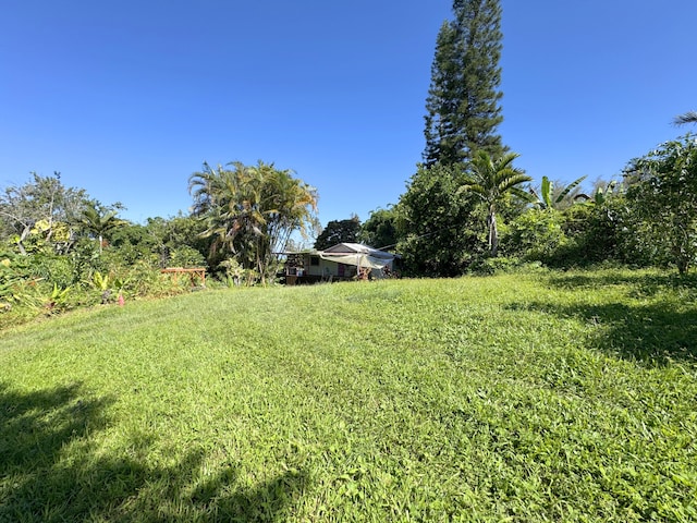 81-1081-C Captain Cook Rd, Captain Cook, HI 96704 - photo 5