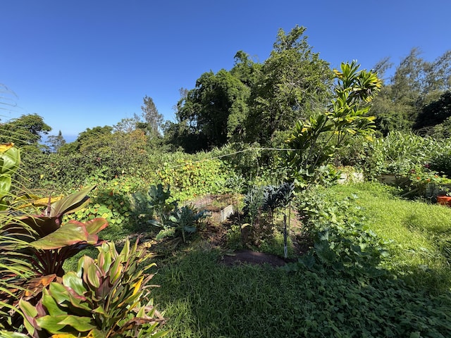 81-1081-C Captain Cook Rd, Captain Cook, HI 96704 - photo 11