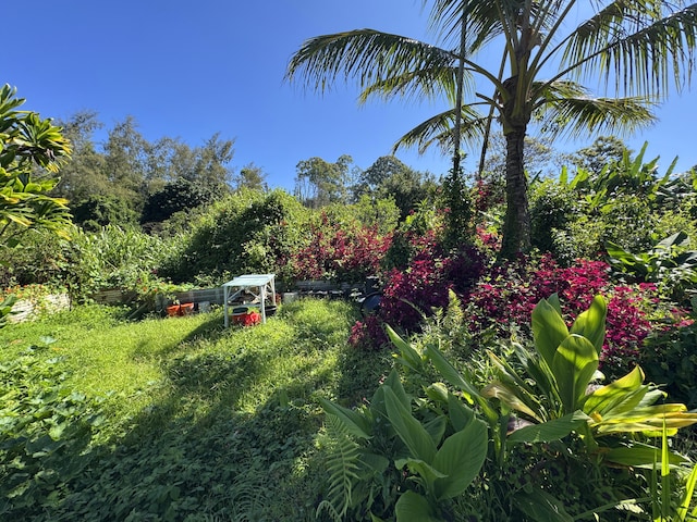 81-1081-C Captain Cook Rd, Captain Cook, HI 96704 - photo 12