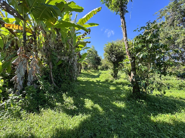 81-1081-C Captain Cook Rd, Captain Cook, HI 96704 - photo 19