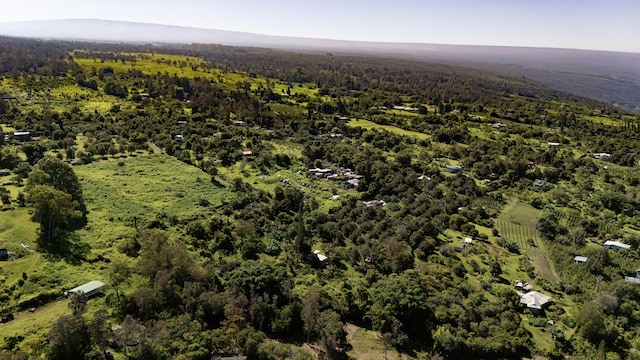 81-1081-C Captain Cook Rd, Captain Cook, HI 96704 - photo 25