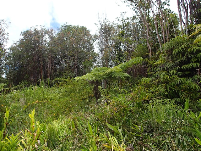 Volcano, HI 96785 - photo 7