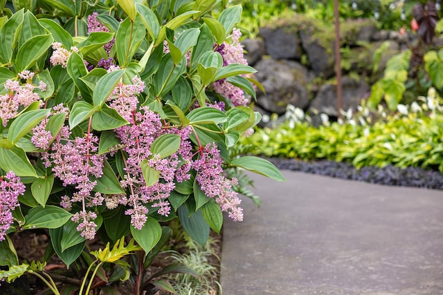 73-4568 Ohianani Pl, Kailua-Kona, HI 96740 - photo 27