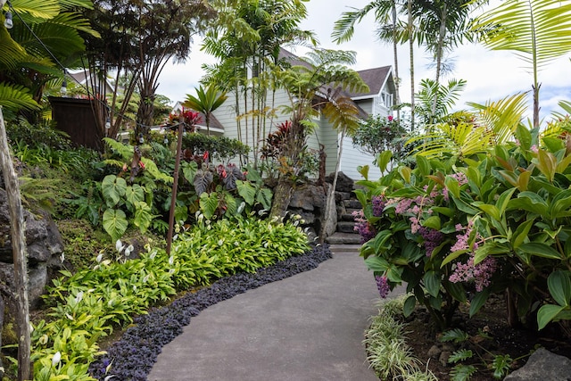73-4568 Ohianani Pl, Kailua-Kona, HI 96740 - photo 28