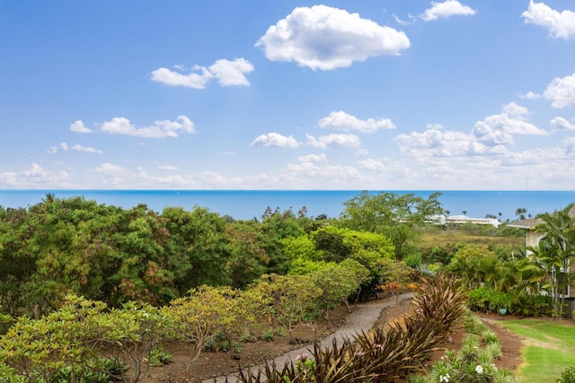 75-6060 Kuakini Hwy Unit F4, Kailua-Kona, HI 96740 - photo 3