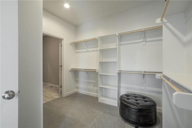 walk in closet with carpet flooring