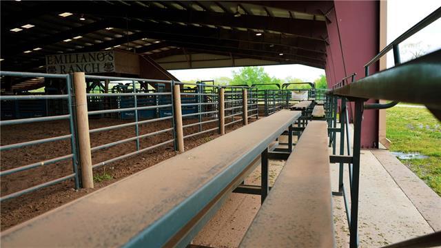 view of horse barn