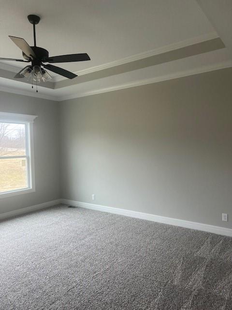 carpeted spare room featuring ceiling fan, ornamental molding, and a raised ceiling