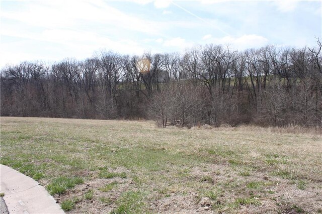 10008 N Cypress Ave, Kansas City, MO 64156